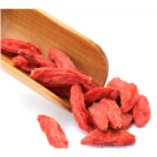 Medlar Dried Goji Berry (Wolfberry)